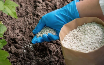 EU dismisses CBAM suspension for fertilisers following hydrogen lobby pressure
