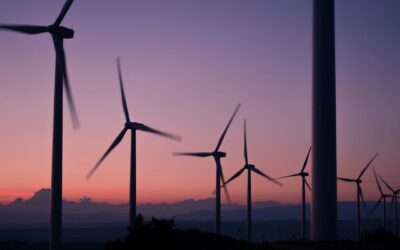 UK Recognizes 16 Overseas Carbon Pricing Schemes for CBAM Relief